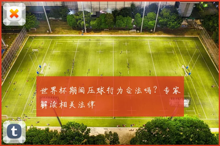 世界杯期间压球行为合法吗？专家解读相关法律