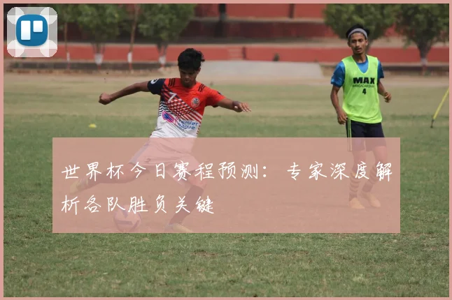 世界杯今日赛程预测：专家深度解析各队胜负关键