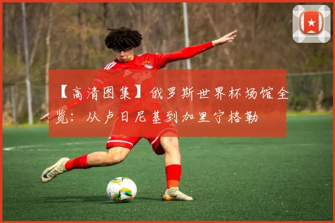 【高清图集】俄罗斯世界杯场馆全览：从卢日尼基到加里宁格勒
