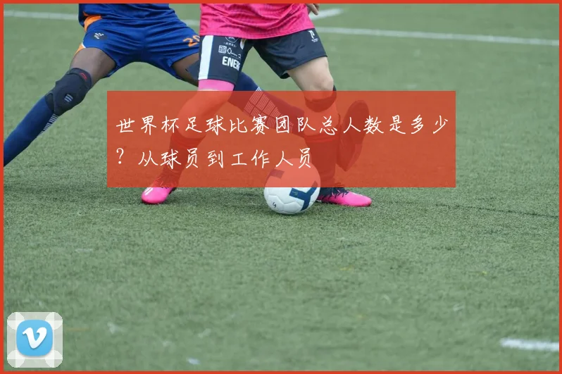世界杯足球比赛团队总人数是多少？从球员到工作人员