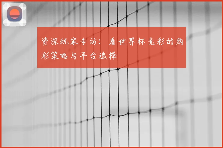 资深玩家专访：看世界杯竞彩的购彩策略与平台选择