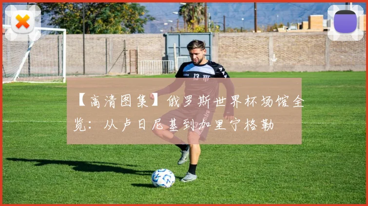 【高清图集】俄罗斯世界杯场馆全览：从卢日尼基到加里宁格勒